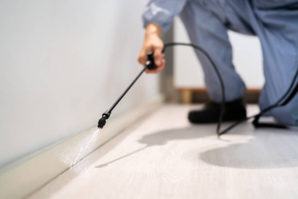 Professional exterminator conducting IPM assessment in Genoa