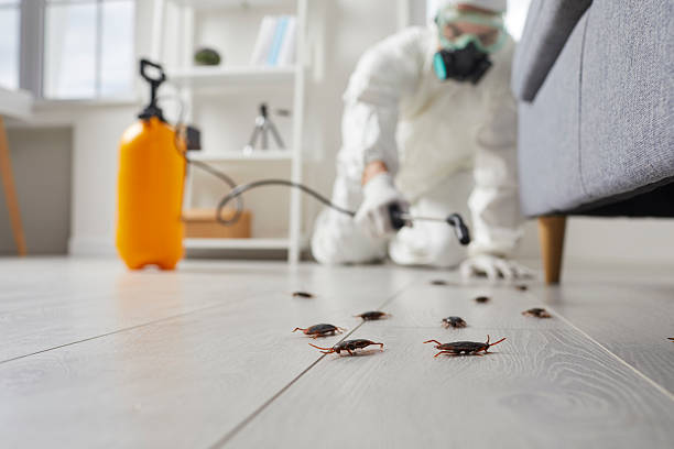 Post-Treatment Bed Bug Interceptor Monitoring in Genoa