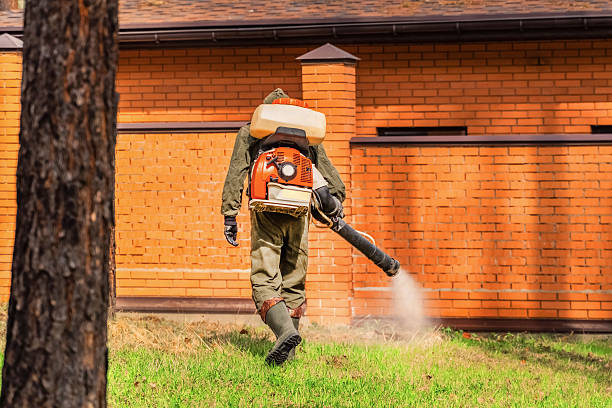 Bed Bug Clearance Verification and Documentation in Genoa